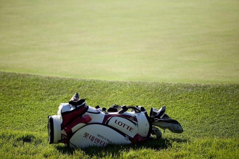 Golf bag beside a green