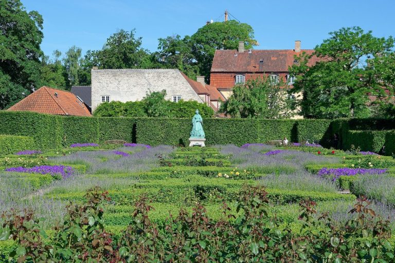 Rose garden in the King's Garden, Copenhagen